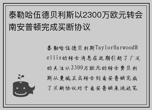泰勒哈伍德贝利斯以2300万欧元转会南安普顿完成买断协议